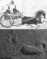 Brick stone and rubbing with chariot, Eastern Han
